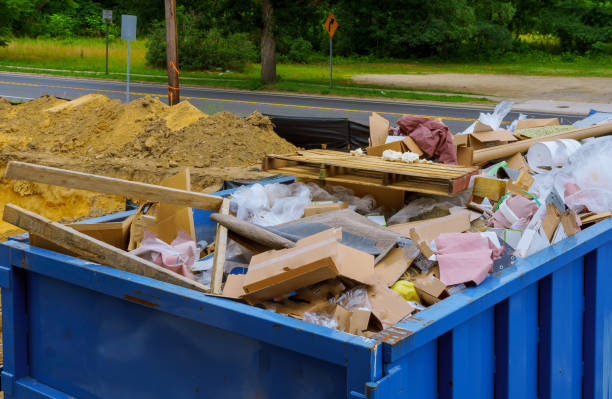 Yard Cleanup Services in Tampa, FL